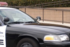 Car Thief Drives, Runs, Swims…and is Busted