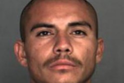 Police Track Down Suspected Rapist