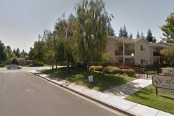 High Speed Pursuit of Car Thief Ends With Arrest by Police K-9