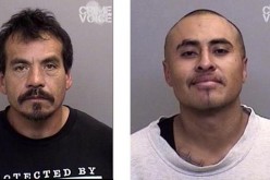 Mendocino men busted on weapons charges