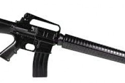 Inglewood Woman Popped for Shooting at House