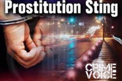 37 Arrested in Prostitution Sting