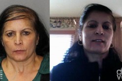 Suspect Arrested in Fatal Hit-and-Run