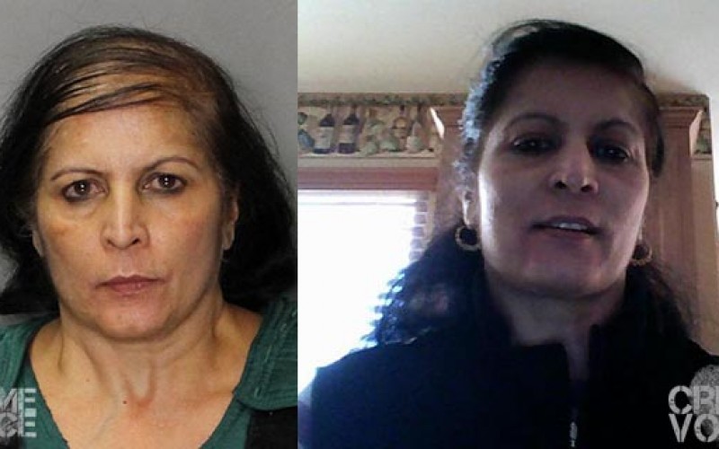 Suspect Arrested in Fatal Hit-and-Run