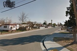 Cops Bust Up Illegal Marijuana Grow in Lamont