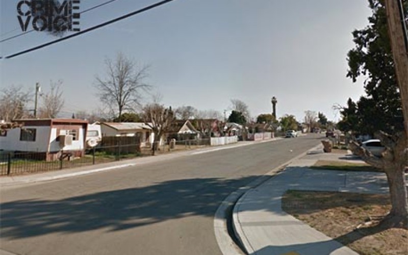 Cops Bust Up Illegal Marijuana Grow in Lamont