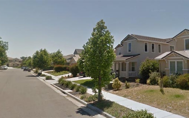 Pot Worth $600,000 Seized At Esparto Residence