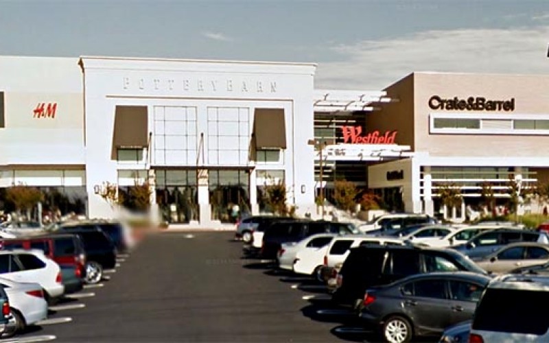 Shoplifting Leads to Drug Arrest in Roseville