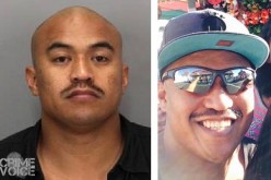 Burglar who climbs up second story to break in confronted by homeowners