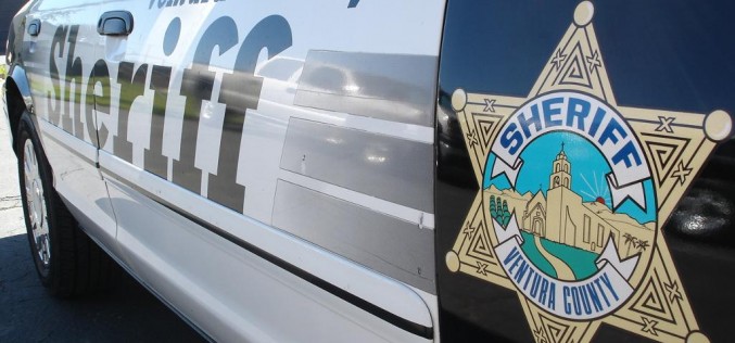 Reputation Precedes Felon with Drugs & Guns