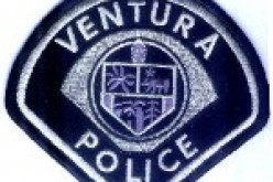 Halloween Gunfire Leads to Car Chase and Dog Bites