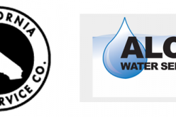 Don’t Answer the Door, It’s Not Avon Calling