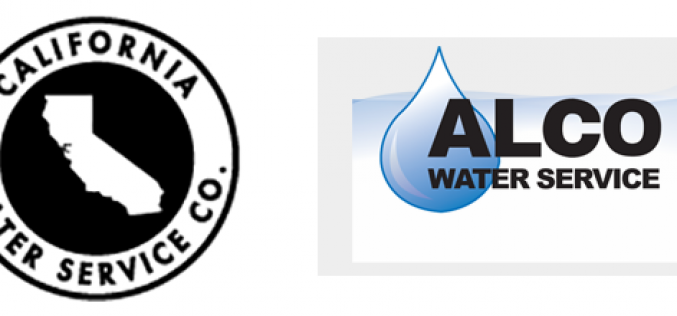 Don’t Answer the Door, It’s Not Avon Calling