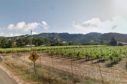 Redwood Valley Man shot in multi-agency search