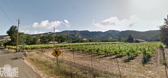 Redwood Valley Man shot in multi-agency search