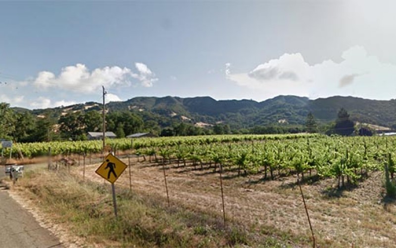 Redwood Valley Man shot in multi-agency search