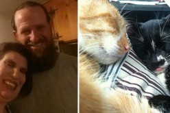 Cat Hoarder/Abuser Taken Into Custody