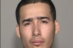 Five Arrested During Investigation of New Gang and Vandalism