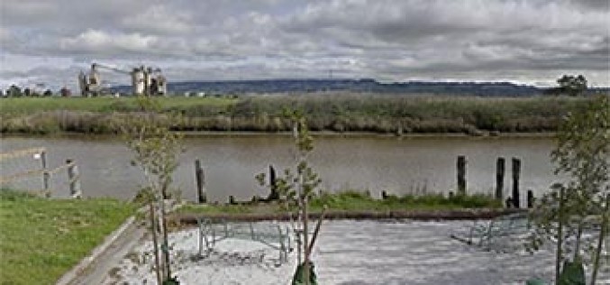 Petaluma Investigates Third Unrelated Death by Waterfront in Recent Weeks