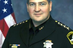 The effects of Proposition 47