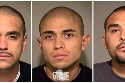 Christmas Burglary Ring Broken