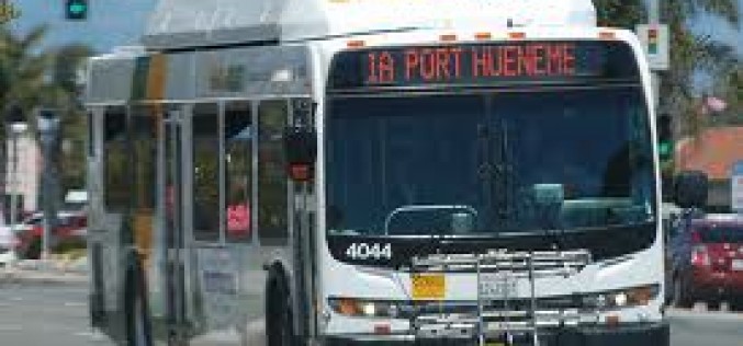 Bus Workers Caught Dipping Into the Till