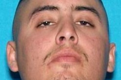 Suspect Arrested After Crashing Into Gas Station and Firing Gun