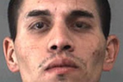 Domestic Disturbance Leads to Manhunt and Arrest of Felon