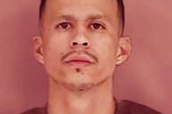 Vehicle Check Turns Into Pursuit