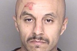 K-9 Bites Gang-banger on Head During Arrest