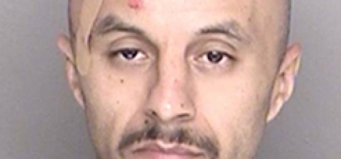 K-9 Bites Gang-banger on Head During Arrest