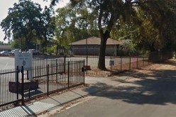 Dog Set on Fire Inside Crate