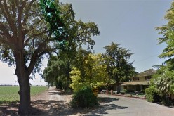 Yolo County Sheriff Arrests 2 Shooting Suspects