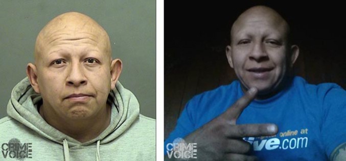 Modesto Cockfighting ringleader busted