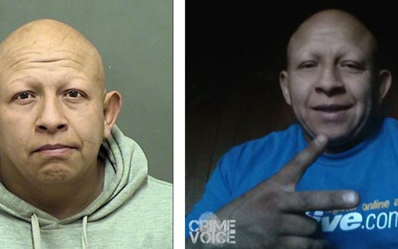 Modesto Cockfighting ringleader busted