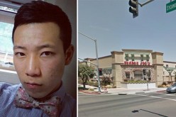 Driver Busted After Striking Tree