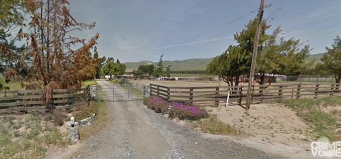 42 People Detained For Attending a Cockfight