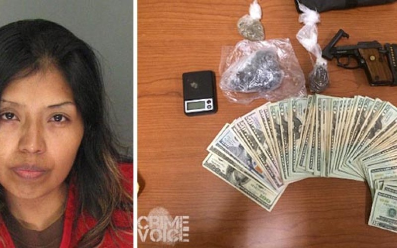 Full time Mom, part time drug trafficker