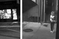 Police Need Help in Finding A Stone Stealer