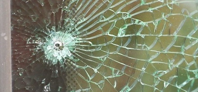 One Day After Shooting Spree, Trio Arrested for Felony Vandalism