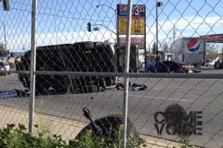 Sex Offender Arrested After Crashing Car During Chase