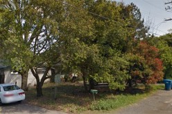 Raising marijuana at home is a dangerous game…