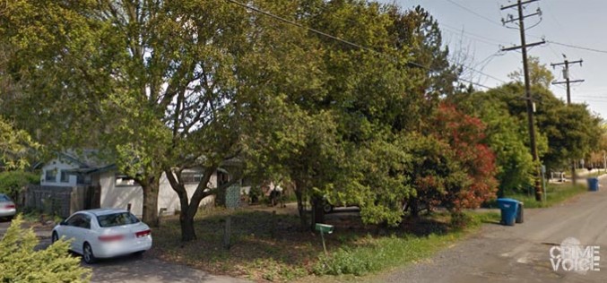 Raising marijuana at home is a dangerous game…