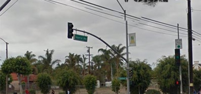 Inglewood Woman Arrested for a Smorgasbord of Charges