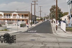 Northridge Woman Arrested in Inglewood For Multiple Charges