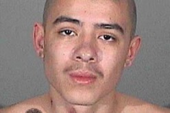 Released in the AM, Arrested Again in the PM