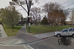 Man Exposes Himself at Park