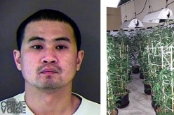 Forced Entry Nets Illegal Grow Operation