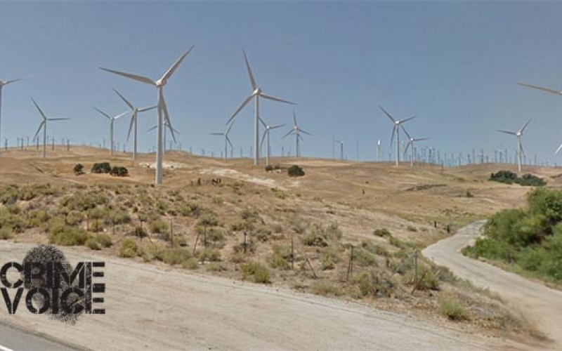 Man Hauling Dead Body in Truck is Arrested After Pursuit