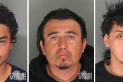 Vehicle Stop Proves Fruitful – Three Arrested